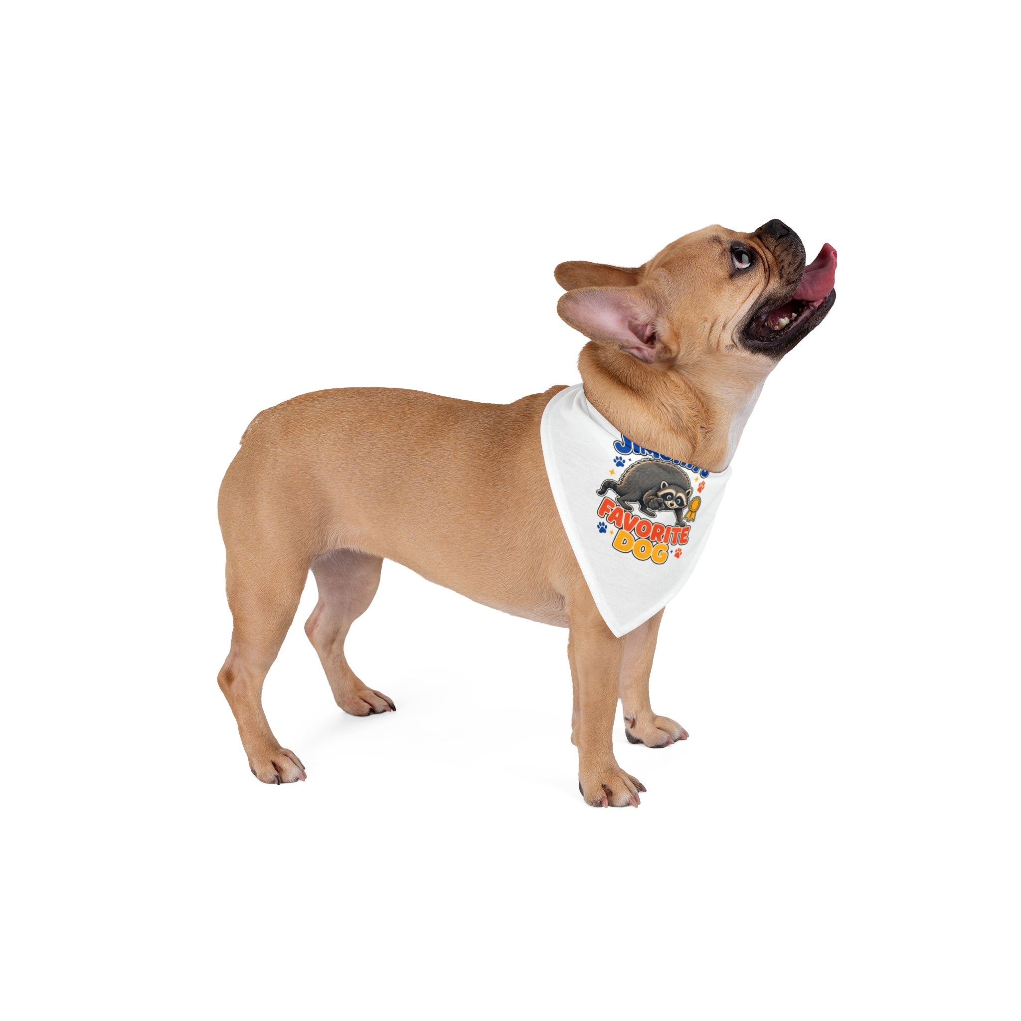 Jimothy's Favorite Dog Pet Bandana