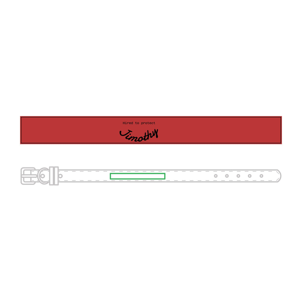 Faux-Leather Pet Collar — Hired to Protect Jimothy - Custom Name ID for Dogs & Cats