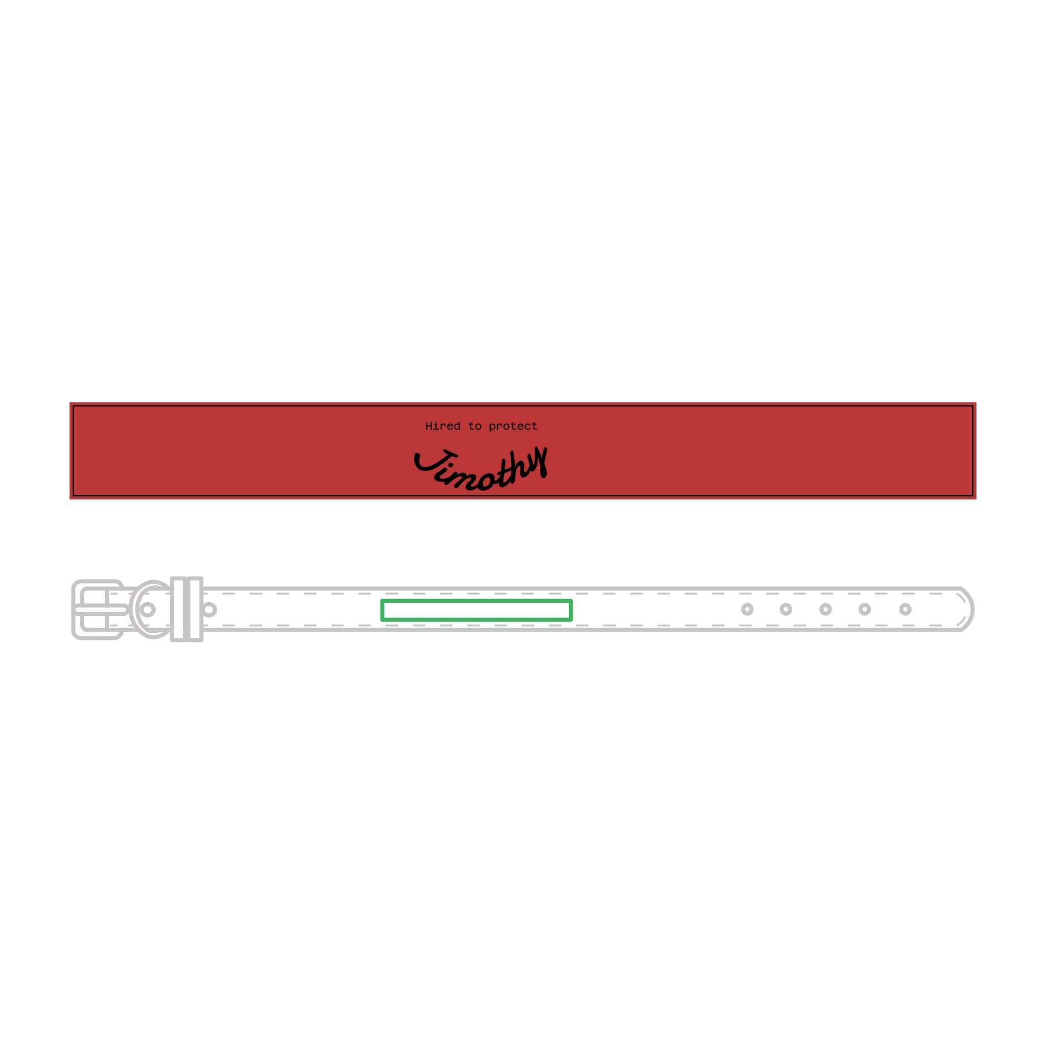 Faux-Leather Pet Collar — Hired to Protect Jimothy - Custom Name ID for Dogs & Cats