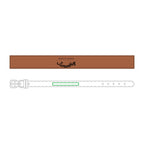 Faux-Leather Pet Collar — Hired to Protect Jimothy - Custom Name ID for Dogs & Cats