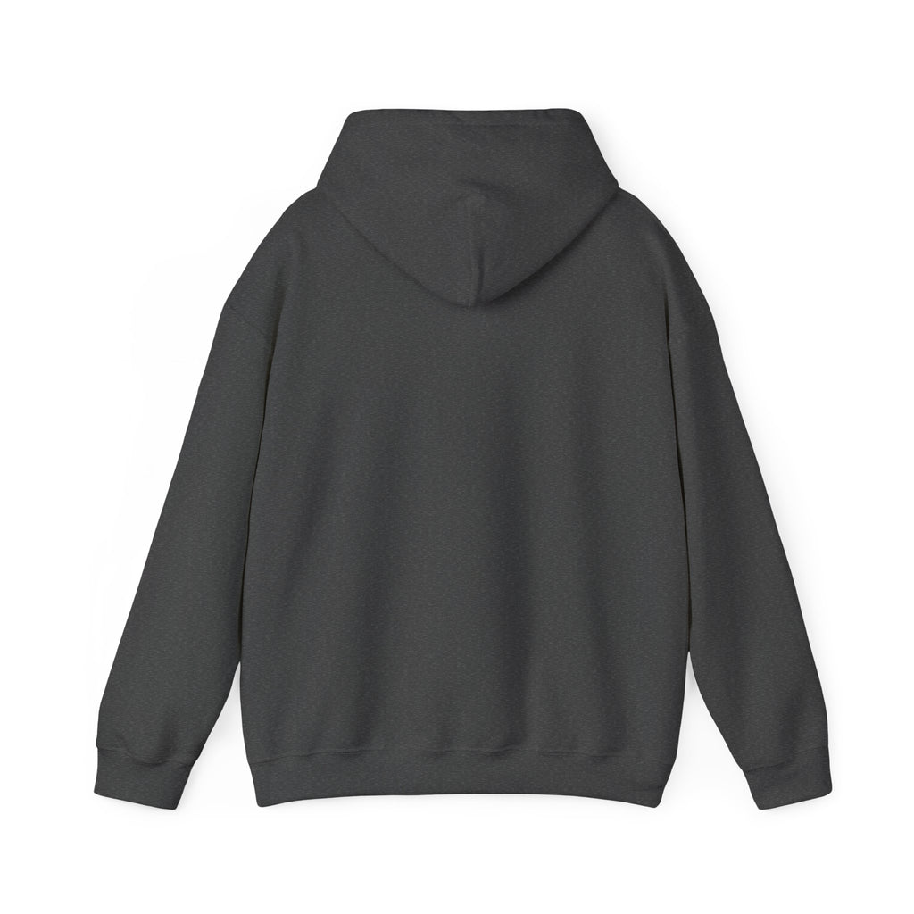 Hoodie multi-color my design #2