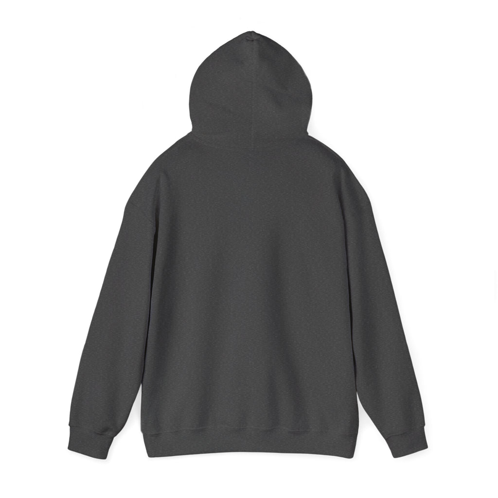 Multi-color Hoodie