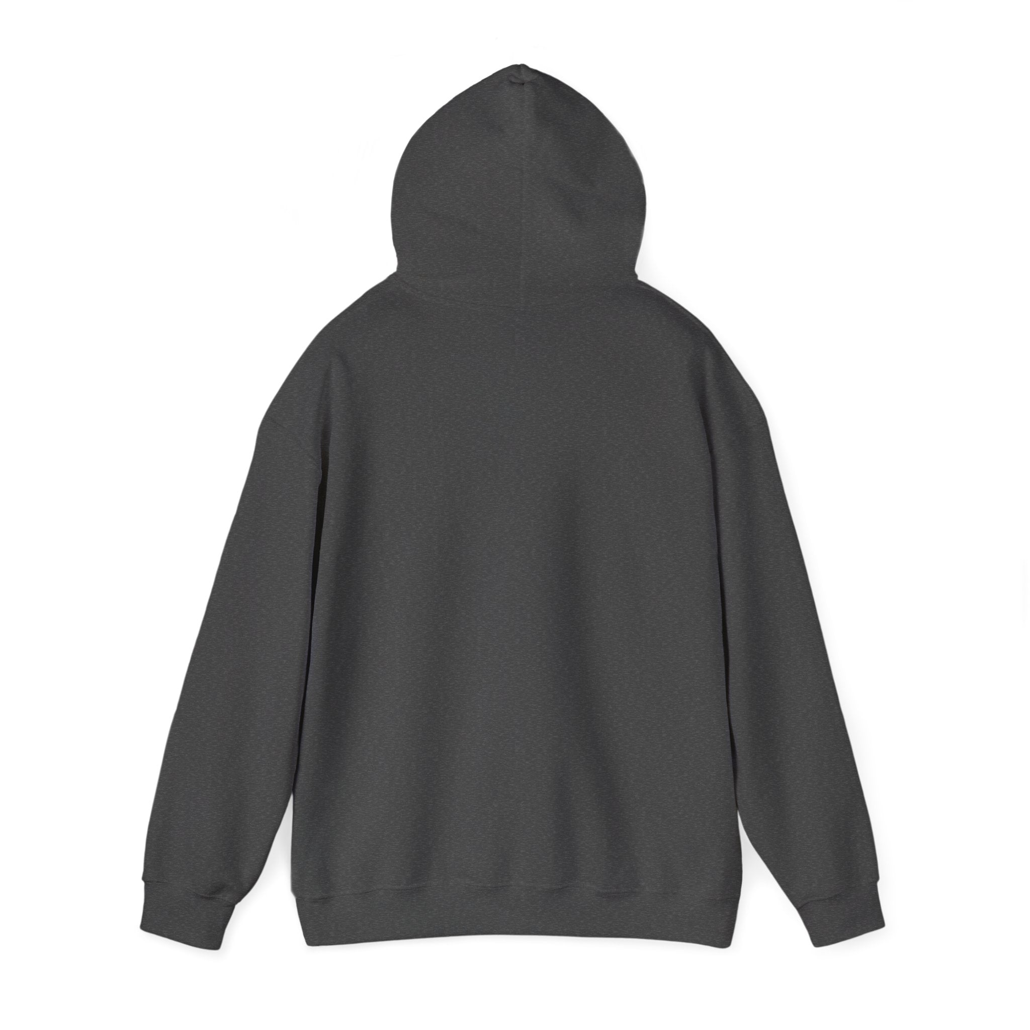 Multi-color Hoodie