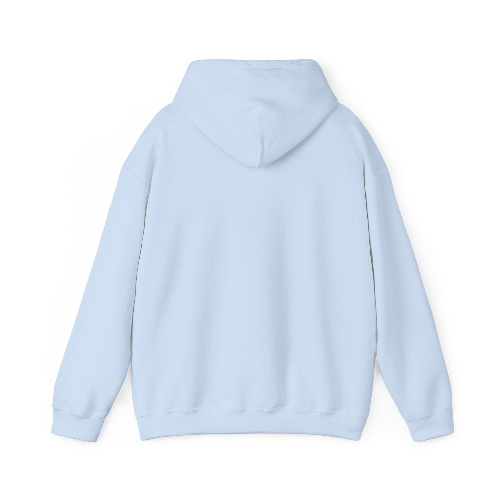 Multi-color Hoodie