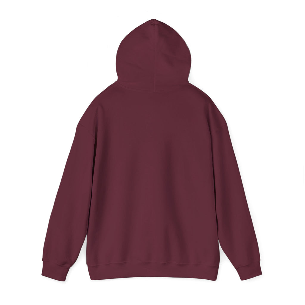 Multi-color Hoodie