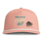 "What Would Jimothy Do?"  Graphic Hat