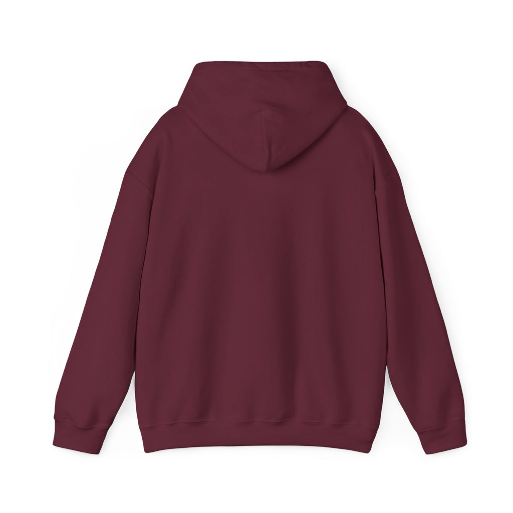 Multi-color Hoodie