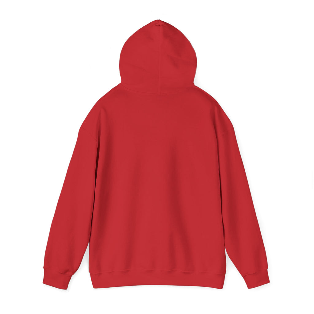 Multi-color Hoodie