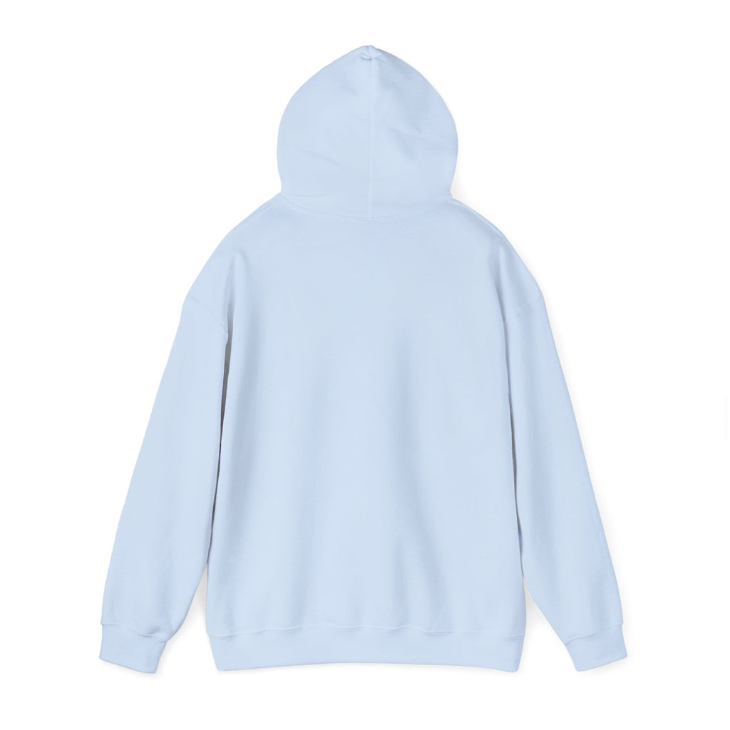 Multi-color Hoodie