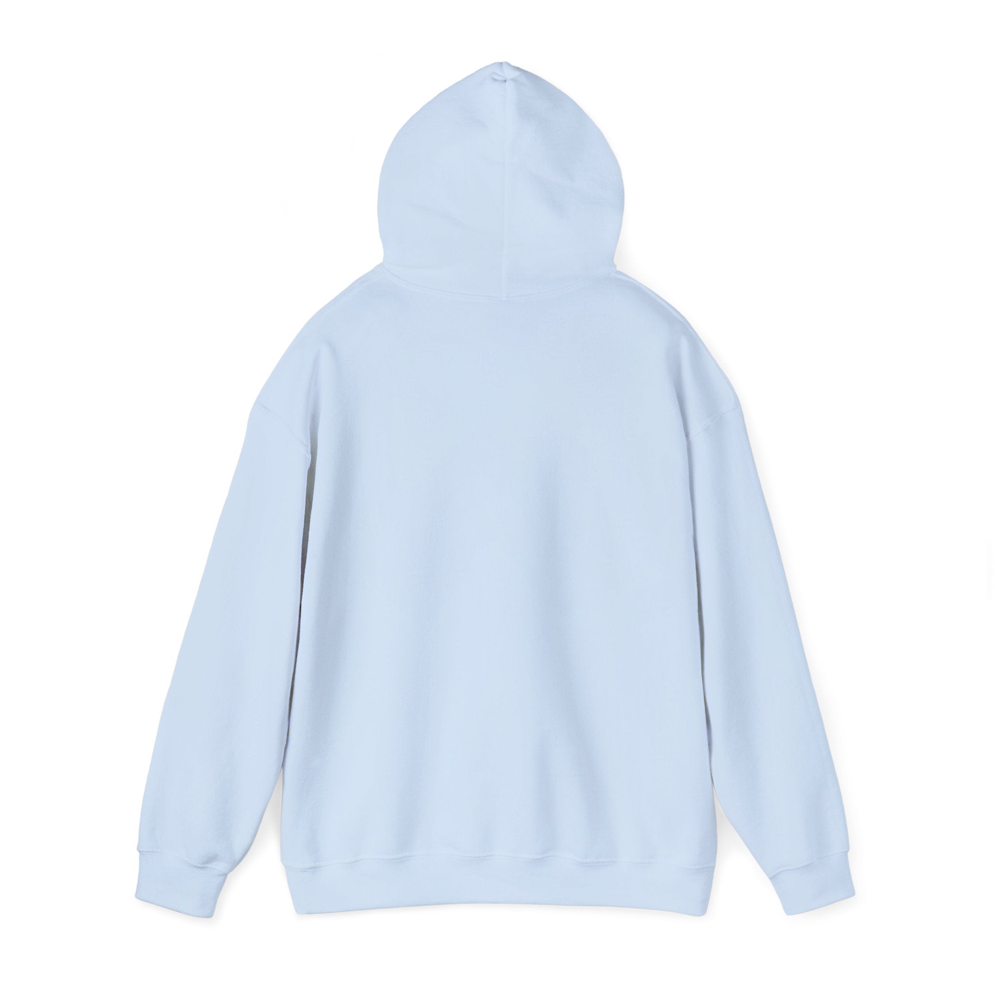 Multi-color Hoodie