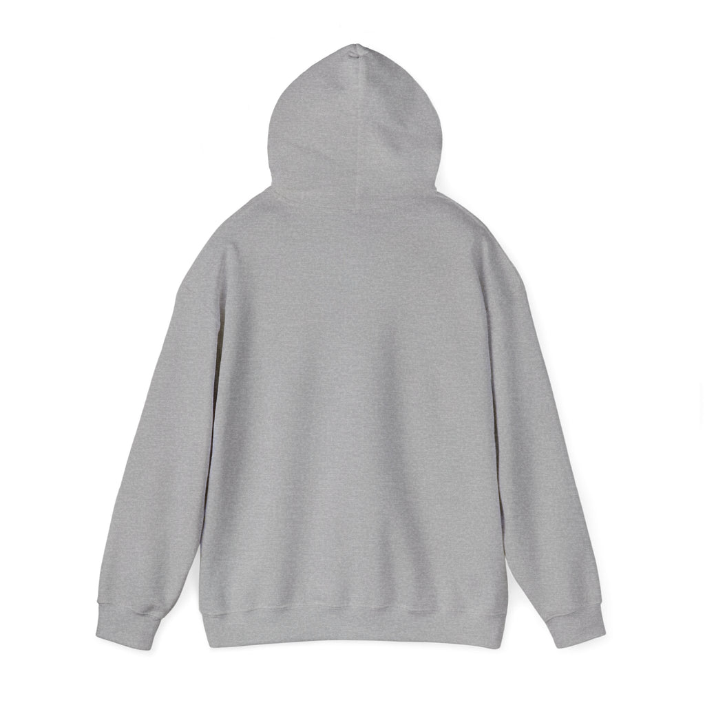 Multi-color Hoodie